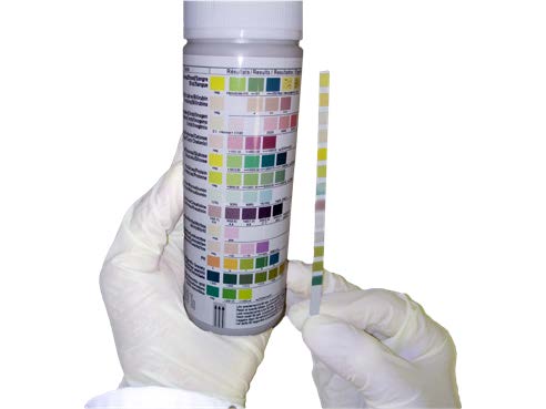Bandelettes urinaires Uritop +11 (x100) - GSH